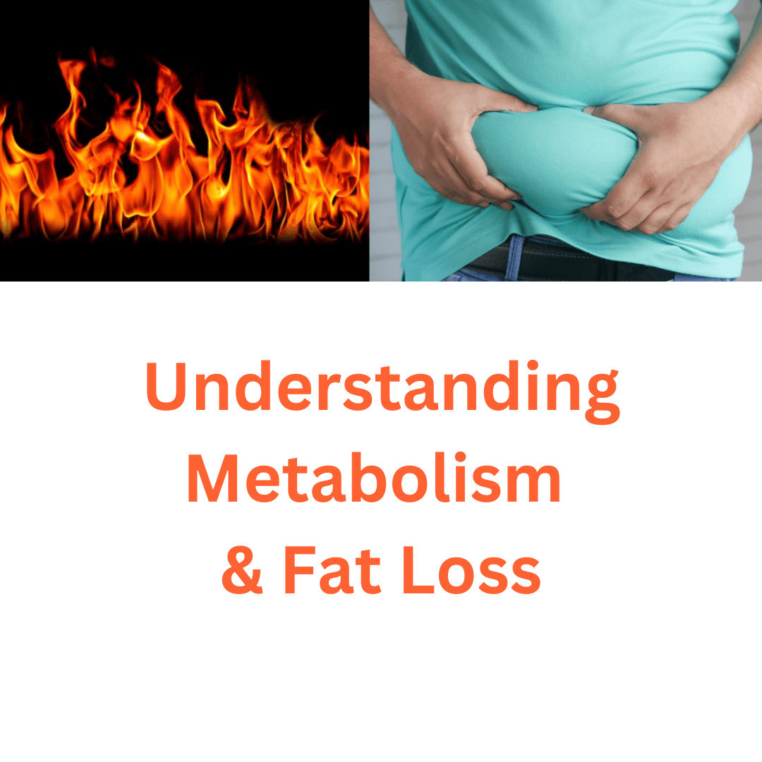 understanding metabolism and fat loss